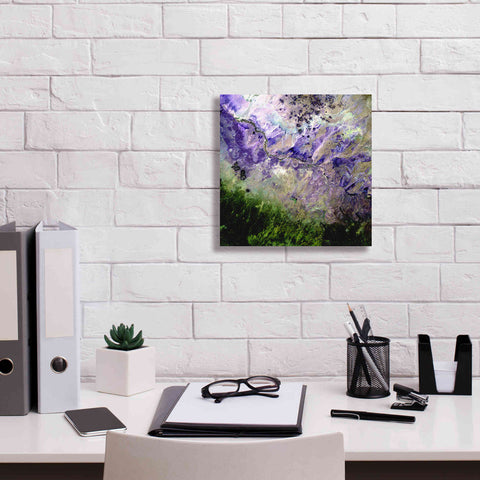 Image of 'Earth as Art: Desert to Forest,' Canvas Wall Art,12 x 12