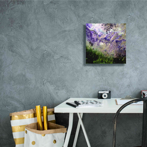 Image of 'Earth as Art: Desert to Forest,' Canvas Wall Art,12 x 12