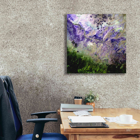 Image of 'Earth as Art: Desert to Forest,' Canvas Wall Art,26 x 26