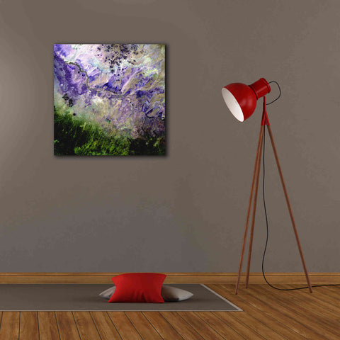 Image of 'Earth as Art: Desert to Forest,' Canvas Wall Art,26 x 26