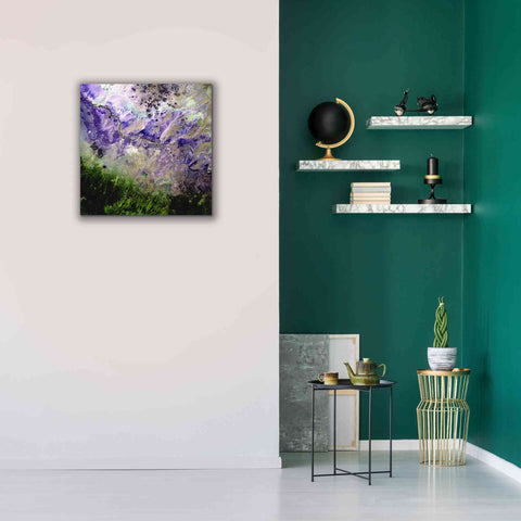 Image of 'Earth as Art: Desert to Forest,' Canvas Wall Art,26 x 26