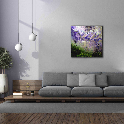 Image of 'Earth as Art: Desert to Forest,' Canvas Wall Art,37 x 37