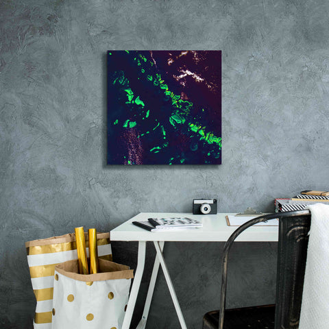 Image of 'Earth as Art: Great Barrier Reef,' Canvas Wall Art,18 x 18