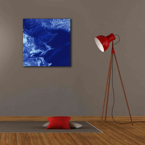 Image of 'Earth as Art: Ice Stars,' Canvas Wall Art,26 x 26