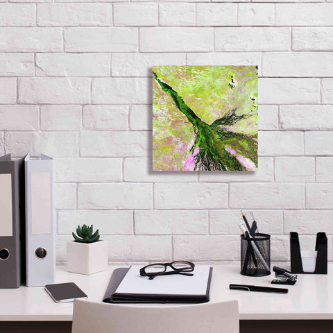 Image of 'Earth as Art: Okavango Delta,' Canvas Wall Art,12 x 12