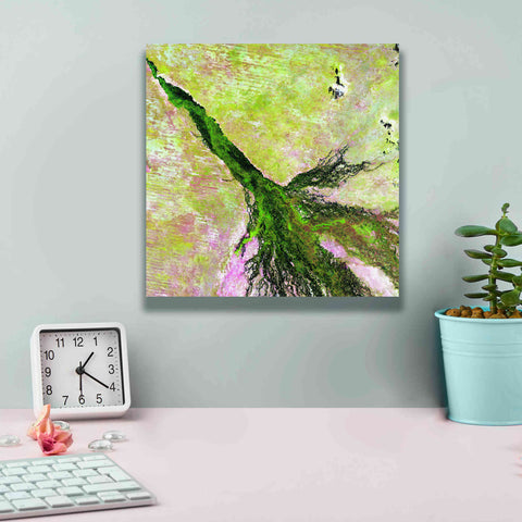 Image of 'Earth as Art: Okavango Delta,' Canvas Wall Art,12 x 12