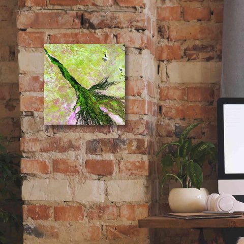 Image of 'Earth as Art: Okavango Delta,' Canvas Wall Art,12 x 12