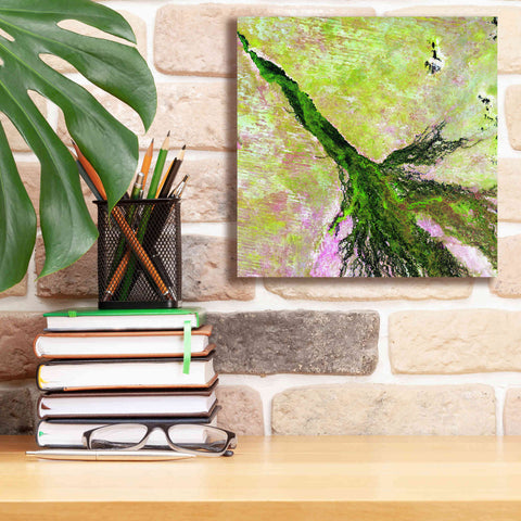 Image of 'Earth as Art: Okavango Delta,' Canvas Wall Art,12 x 12