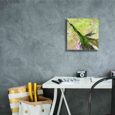 Image of 'Earth as Art: Okavango Delta,' Canvas Wall Art,12 x 12