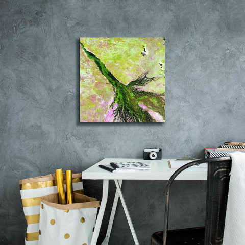 Image of 'Earth as Art: Okavango Delta,' Canvas Wall Art,18 x 18