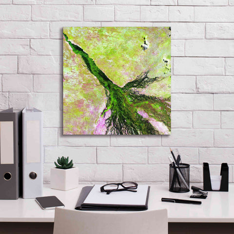 Image of 'Earth as Art: Okavango Delta,' Canvas Wall Art,18 x 18