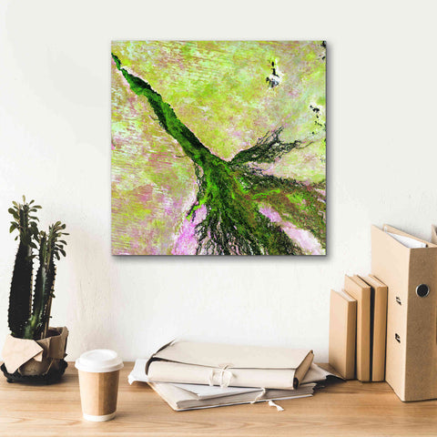 Image of 'Earth as Art: Okavango Delta,' Canvas Wall Art,18 x 18
