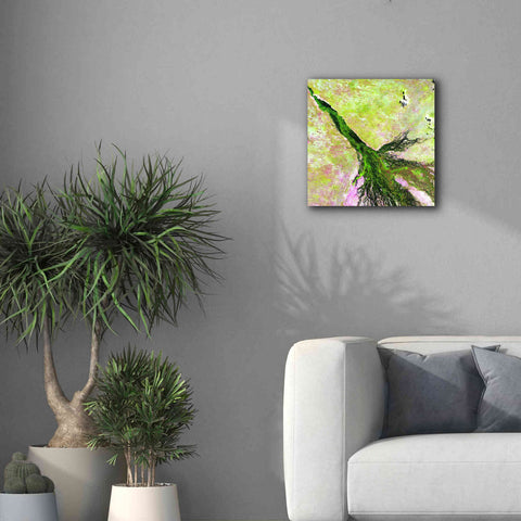 Image of 'Earth as Art: Okavango Delta,' Canvas Wall Art,18 x 18