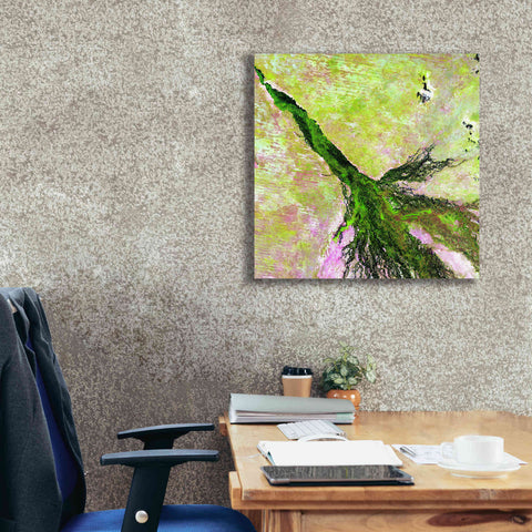 Image of 'Earth as Art: Okavango Delta,' Canvas Wall Art,26 x 26