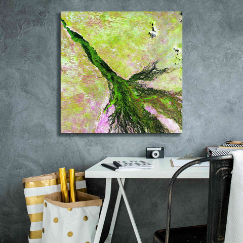 Image of 'Earth as Art: Okavango Delta,' Canvas Wall Art,26 x 26