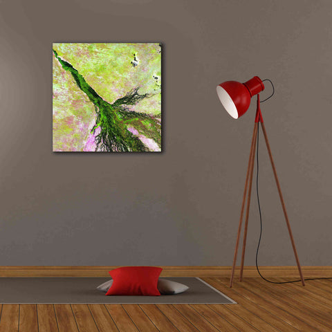 Image of 'Earth as Art: Okavango Delta,' Canvas Wall Art,26 x 26