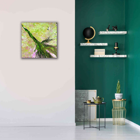 Image of 'Earth as Art: Okavango Delta,' Canvas Wall Art,26 x 26