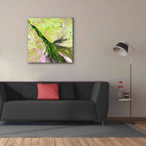 Image of 'Earth as Art: Okavango Delta,' Canvas Wall Art,37 x 37