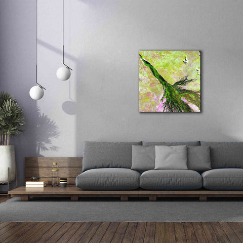 Image of 'Earth as Art: Okavango Delta,' Canvas Wall Art,37 x 37