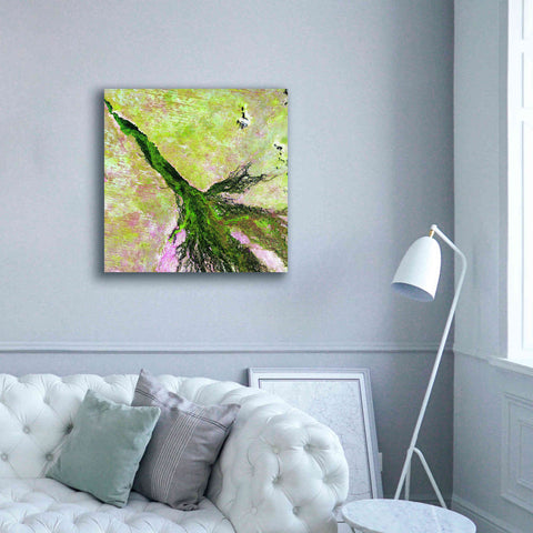 Image of 'Earth as Art: Okavango Delta,' Canvas Wall Art,37 x 37