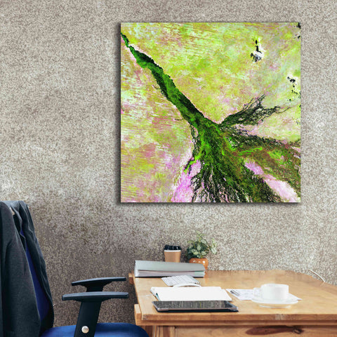 Image of 'Earth as Art: Okavango Delta,' Canvas Wall Art,37 x 37