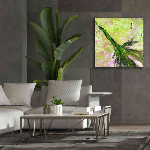 Image of 'Earth as Art: Okavango Delta,' Canvas Wall Art,37 x 37