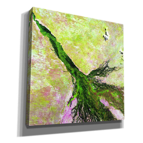 Image of 'Earth as Art: Okavango Delta,' Canvas Wall Art,12x12x1.1x0,18x18x1.1x0,26x26x1.74x0,37x37x1.74x0