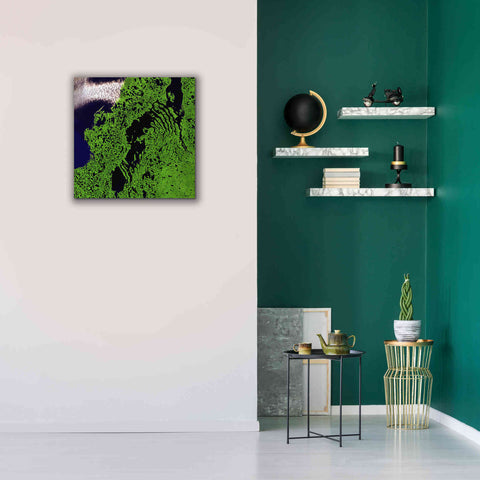 Image of 'Earth as Art: Remote Tundra,' Canvas Wall Art,26 x 26