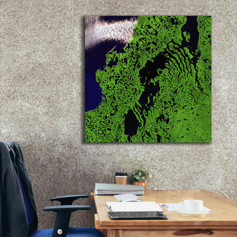 Image of 'Earth as Art: Remote Tundra,' Canvas Wall Art,37 x 37