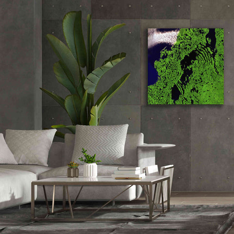 Image of 'Earth as Art: Remote Tundra,' Canvas Wall Art,37 x 37