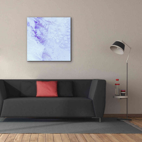 Image of 'Earth as Art: Robinson Glacier,' Canvas Wall Art,37 x 37