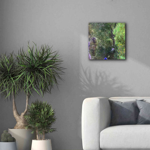 Image of 'Earth as Art: San Luis,' Canvas Wall Art,18 x 18