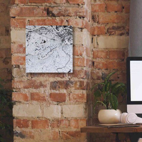 Image of 'Earth as Art: Etched in Snow,' Canvas Wall Art,12 x 12