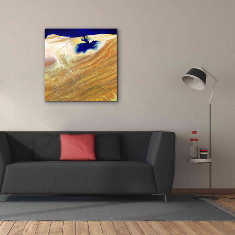 Image of 'Earth as Art: Ink Stain,' Canvas Wall Art,37 x 37