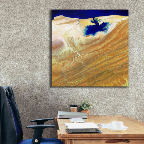 Image of 'Earth as Art: Ink Stain,' Canvas Wall Art,37 x 37