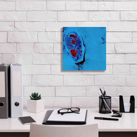 Image of 'Earth as Art: Cellular Ice,' Canvas Wall Art,12 x 12