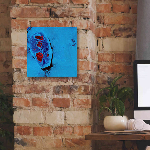 Image of 'Earth as Art: Cellular Ice,' Canvas Wall Art,12 x 12