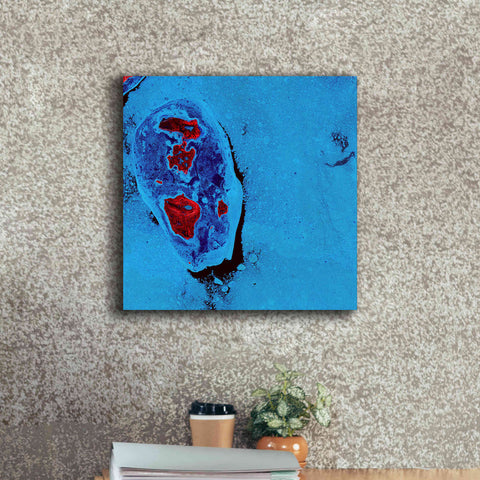 Image of 'Earth as Art: Cellular Ice,' Canvas Wall Art,18 x 18
