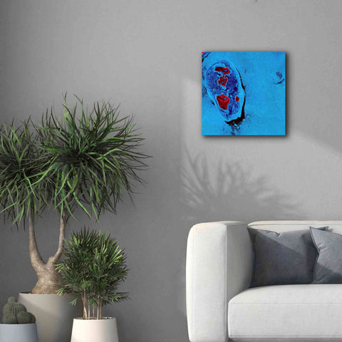 Image of 'Earth as Art: Cellular Ice,' Canvas Wall Art,18 x 18