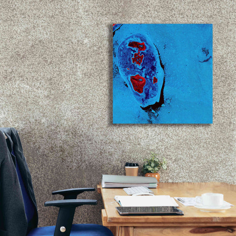 Image of 'Earth as Art: Cellular Ice,' Canvas Wall Art,26 x 26