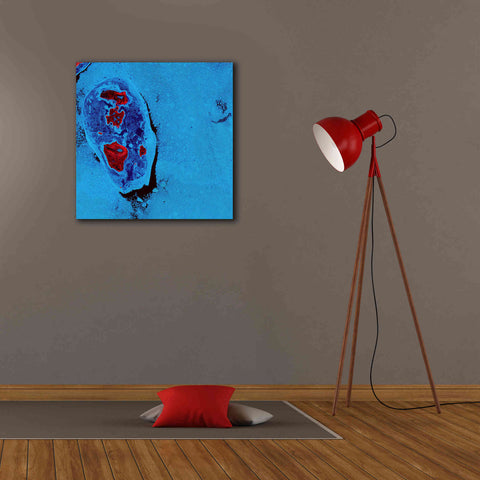 Image of 'Earth as Art: Cellular Ice,' Canvas Wall Art,26 x 26