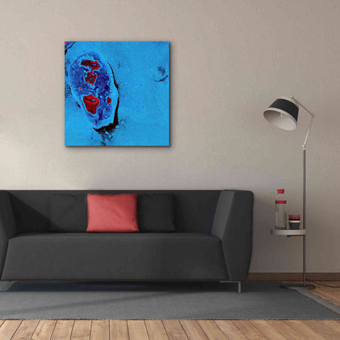 Image of 'Earth as Art: Cellular Ice,' Canvas Wall Art,37 x 37