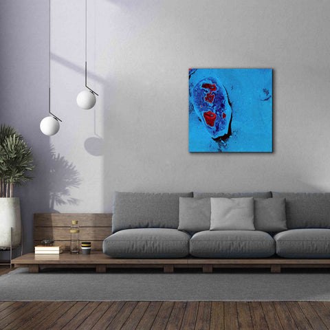 Image of 'Earth as Art: Cellular Ice,' Canvas Wall Art,37 x 37