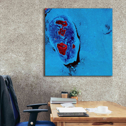 Image of 'Earth as Art: Cellular Ice,' Canvas Wall Art,37 x 37