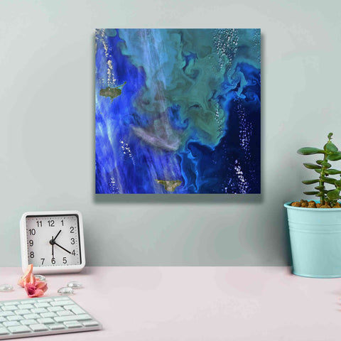 Image of 'Earth as Art: Earth's Aquarium,' Canvas Wall Art,12 x 12