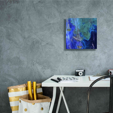 Image of 'Earth as Art: Earth's Aquarium,' Canvas Wall Art,12 x 12