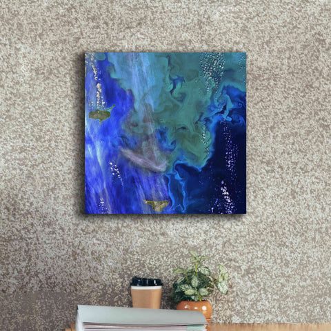 Image of 'Earth as Art: Earth's Aquarium,' Canvas Wall Art,18 x 18
