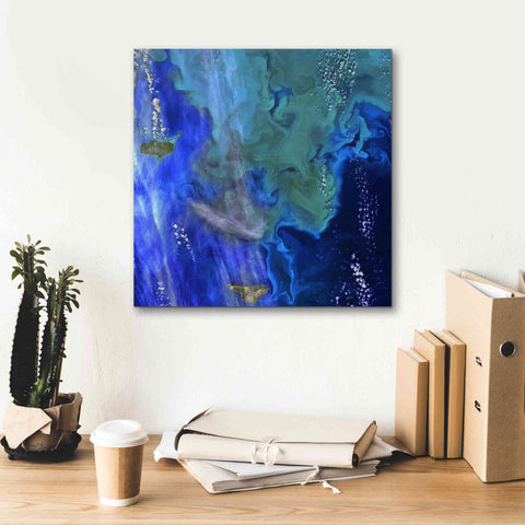 Image of 'Earth as Art: Earth's Aquarium,' Canvas Wall Art,18 x 18