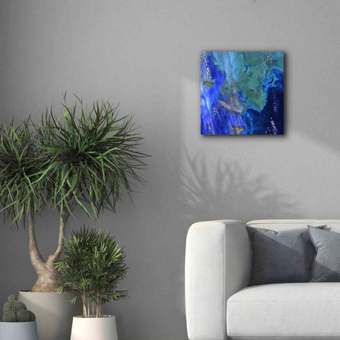 Image of 'Earth as Art: Earth's Aquarium,' Canvas Wall Art,18 x 18