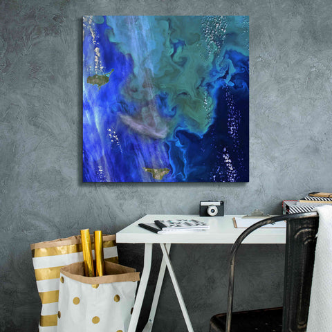 Image of 'Earth as Art: Earth's Aquarium,' Canvas Wall Art,26 x 26